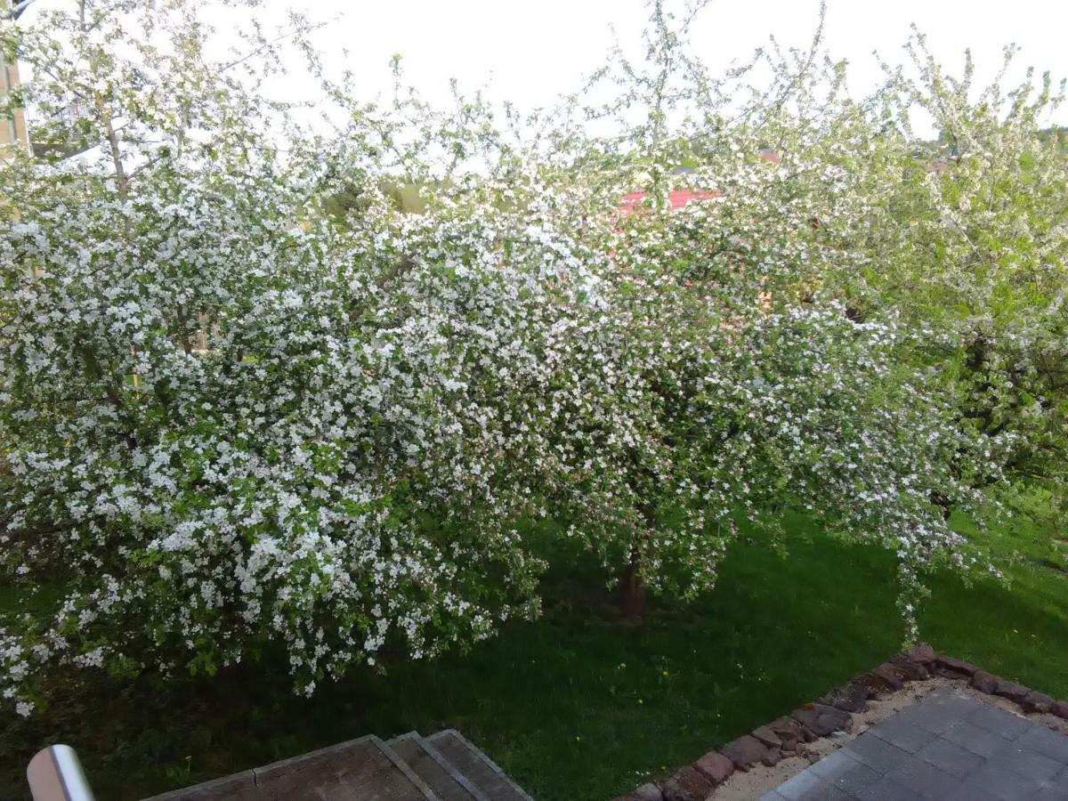 Ferienwohnung Barzen Ralingen Kültér fotó